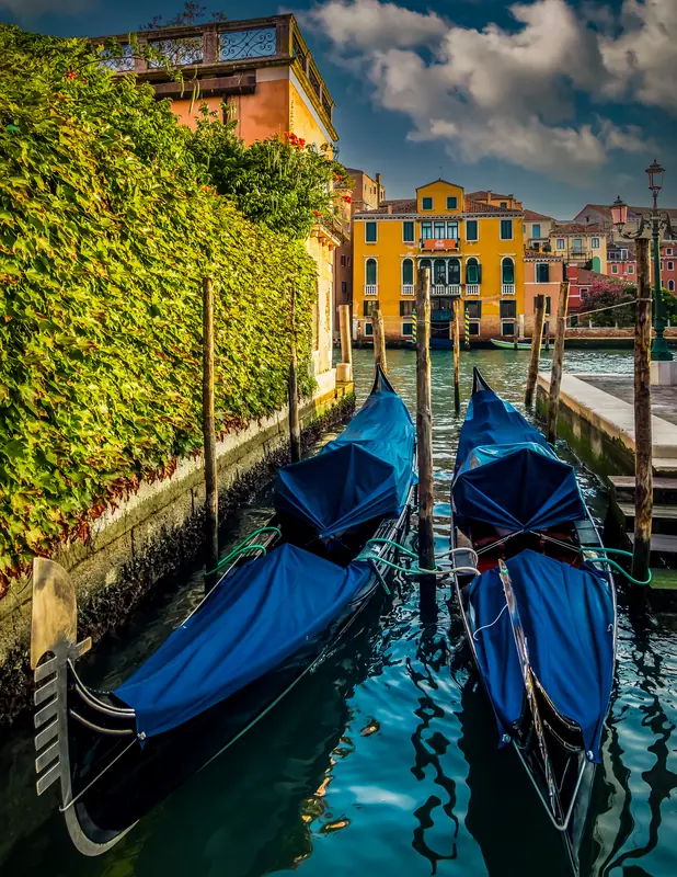 Three gondolas moored and covered in blue tarpaulins alongside a canal, ivy-covered wall to the left, colourful Venetian buildings behind.
